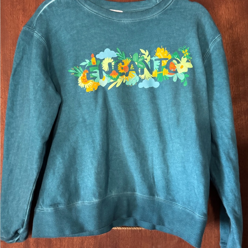Disney Encanto Teal Sweatshirt